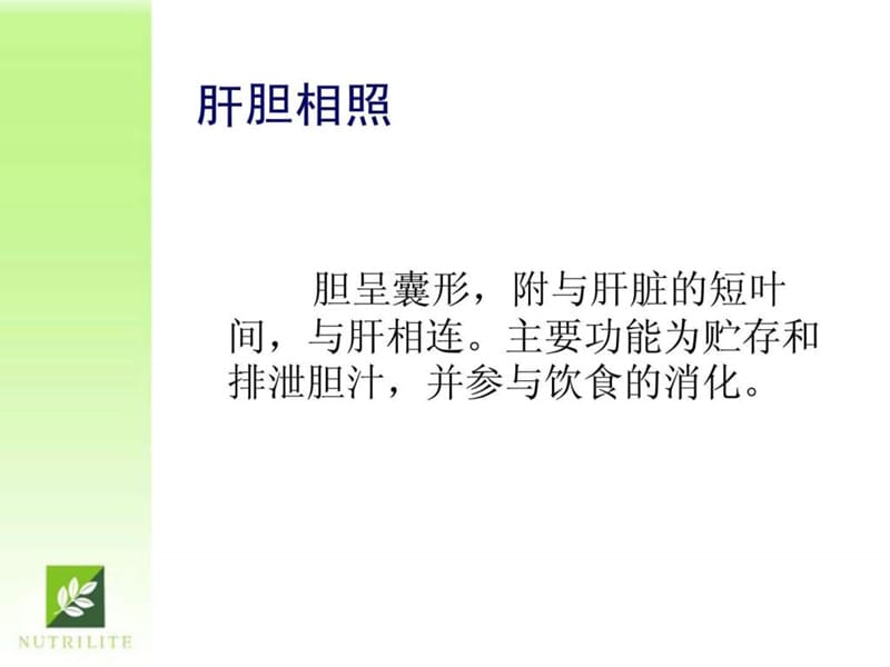 《肝脏的护理》PPT课件.ppt_第3页