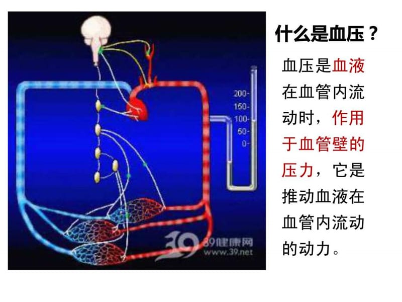 《高血压和饮食》PPT课件.ppt_第2页