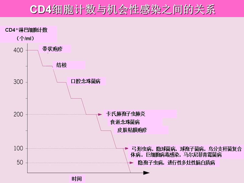 hiv合并马尔尼菲青霉的诊断和治疗ppt课件.ppt_第3页