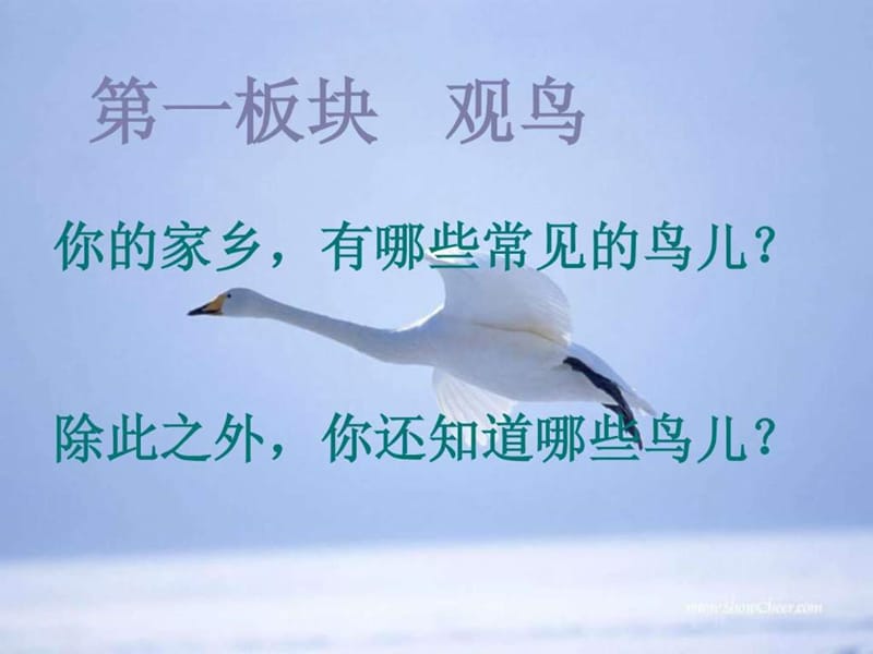 专题《鸟没》ppt课到件(60页).ppt_第2页