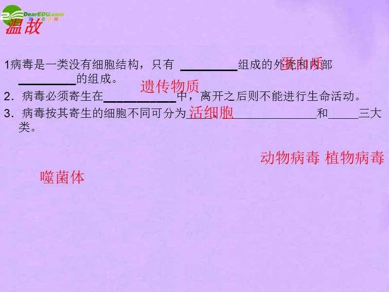 七年级生物上册第三单元第一章第一节藻类，苔藓和蕨类植物课件人教新课标版.ppt_第1页