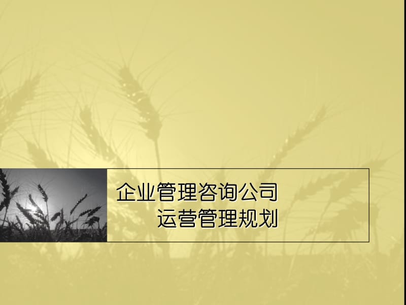 企业管理咨询公司运营管理规划.ppt_第1页