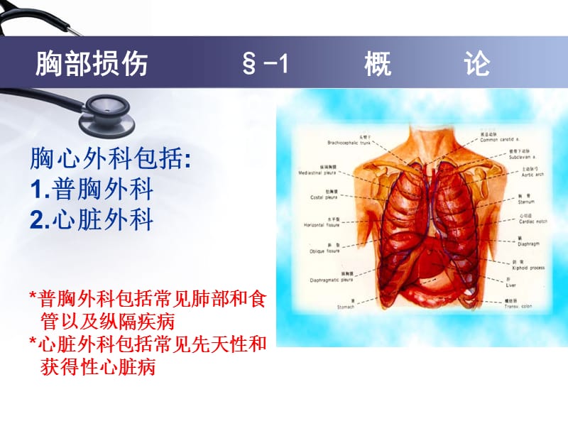 《普胸外科》ppt课件.ppt_第3页