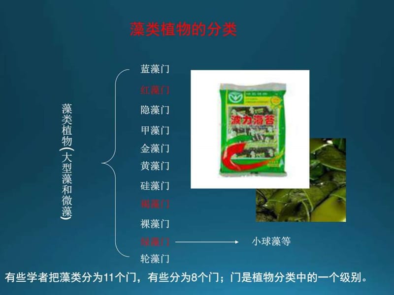 生物质能源--微藻.ppt.ppt_第2页