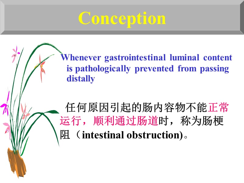 肠梗阻课件.ppt_第2页