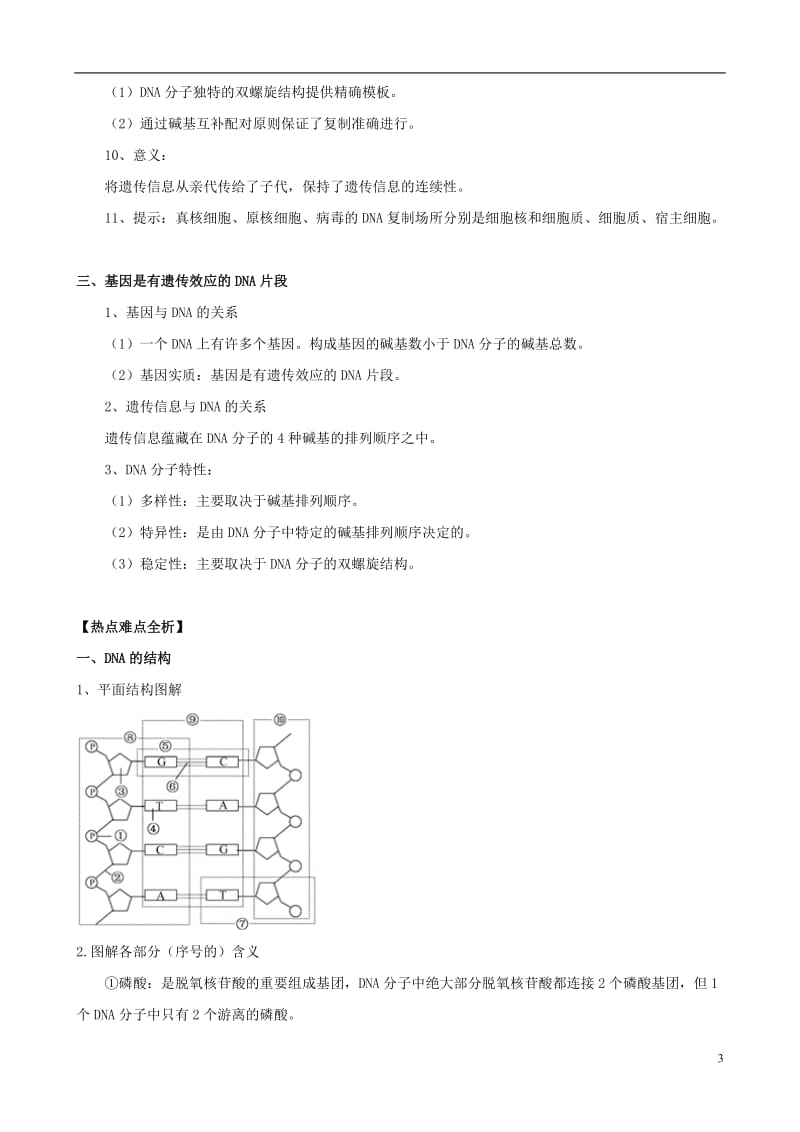 3.4《基因是有遗传效应的DNA片段》学案3.doc_第3页