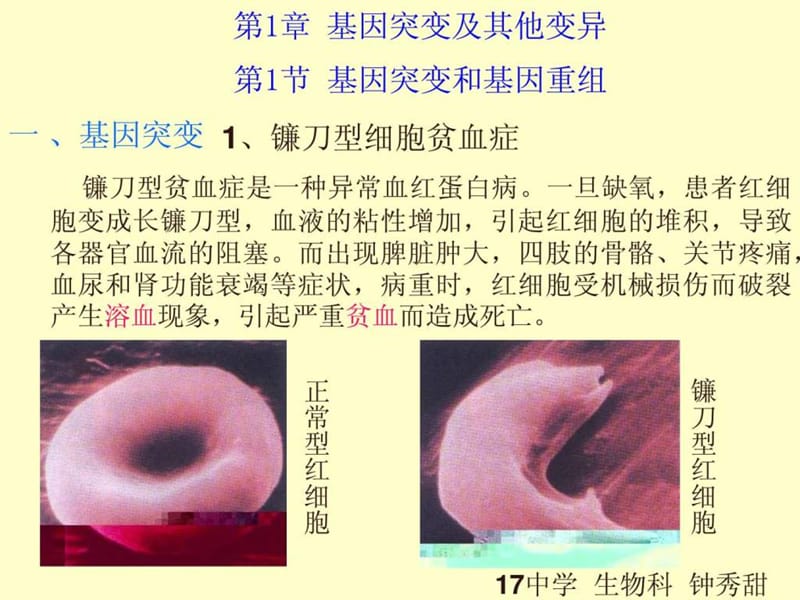 生物高中必修2第五章第一节课件2.ppt_第1页