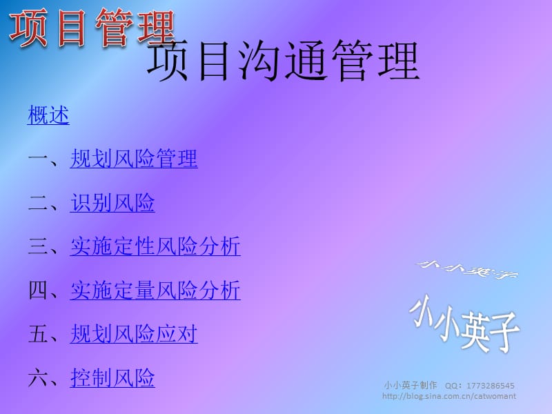 项目管理简述项目风险管理小小英子.ppt_第2页