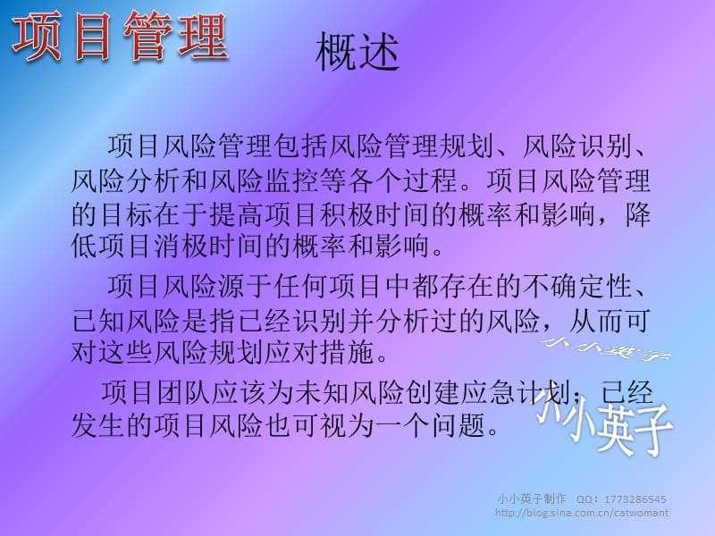 项目管理简述项目风险管理小小英子.ppt_第3页