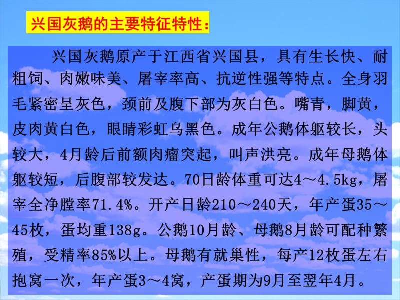 兴国灰鹅饲养管理技术ppt课件.ppt_第2页