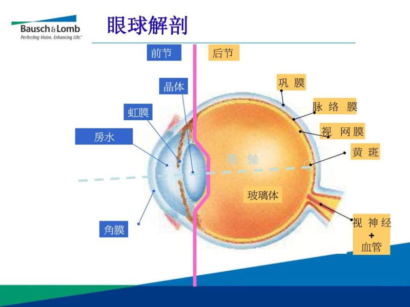 眼科超乳玻切手术基础知识.ppt_第3页