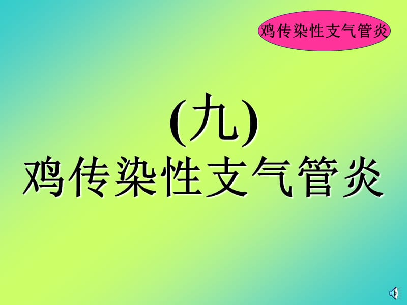 传染性支气管炎0ppt课件.ppt_第1页