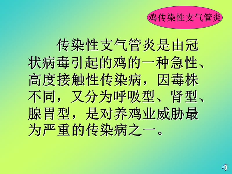 传染性支气管炎0ppt课件.ppt_第2页