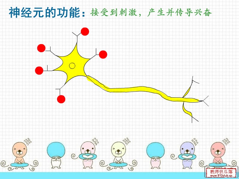 人体的神经调节.ppt.ppt_第3页