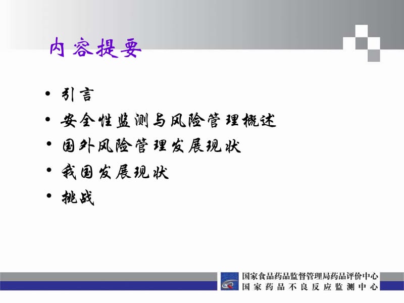 药品安全监测与风险管理.ppt_第2页