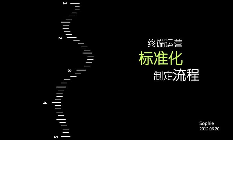 终端运营标准化制定流程.ppt_第1页