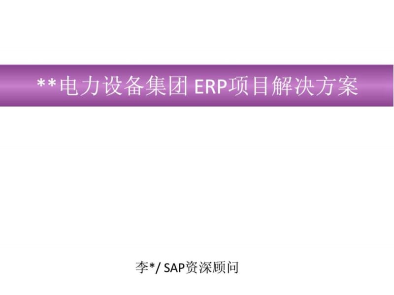 sap针对某电力设备集团erp项目解决方案解决方案.ppt_第2页