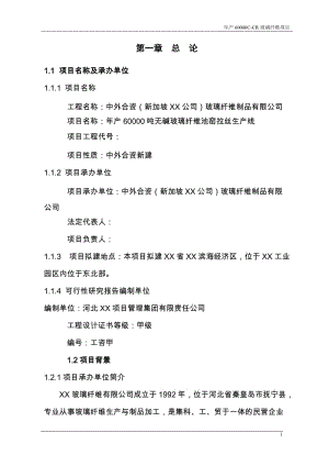 hq年产6万吨无碱池窑玻璃纤维拉丝生产线建设项目可行性研究报告.doc