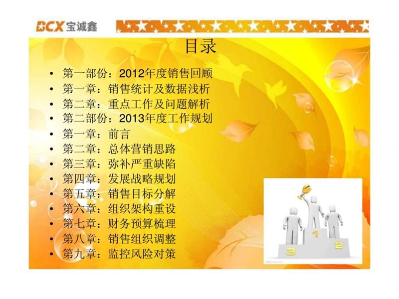 2012年度总结暨2013年营销规划.ppt_第2页