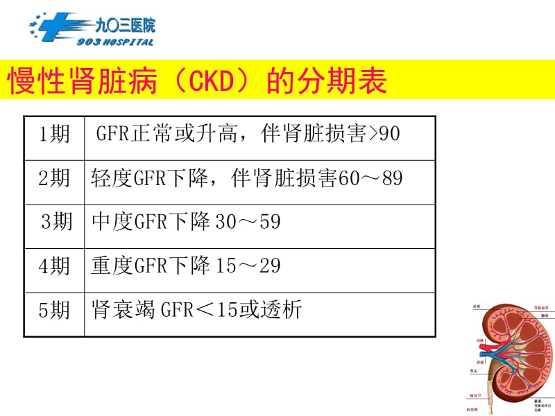 慢性肾脏病的管理.ppt_第3页