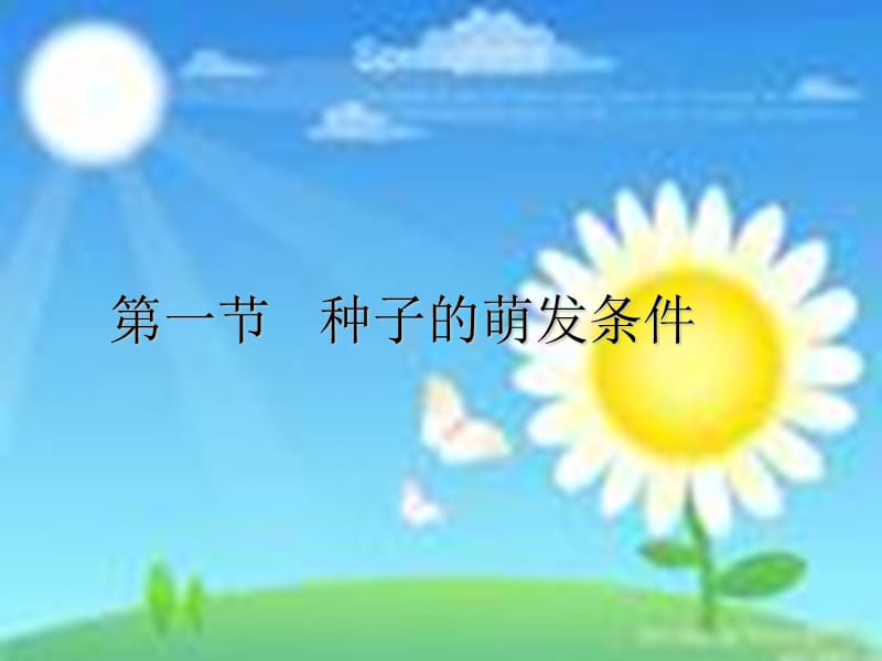 种子的萌发..ppt_第1页