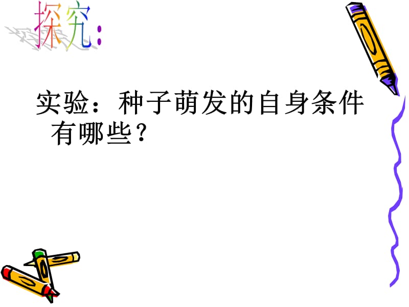 种子的萌发..ppt_第2页