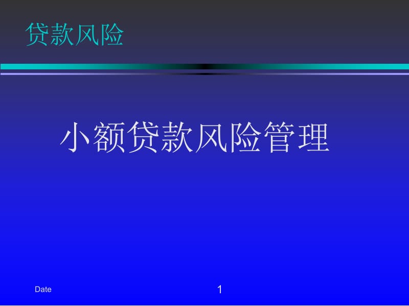 小额贷款风险管理操作实务.ppt_第1页