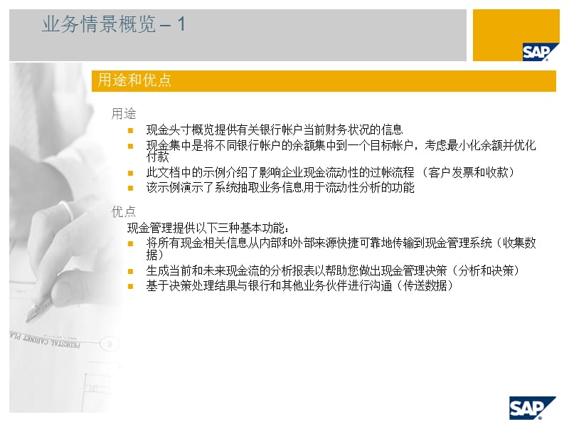 现金管理SAP最佳业务实践通用版中国.ppt_第2页