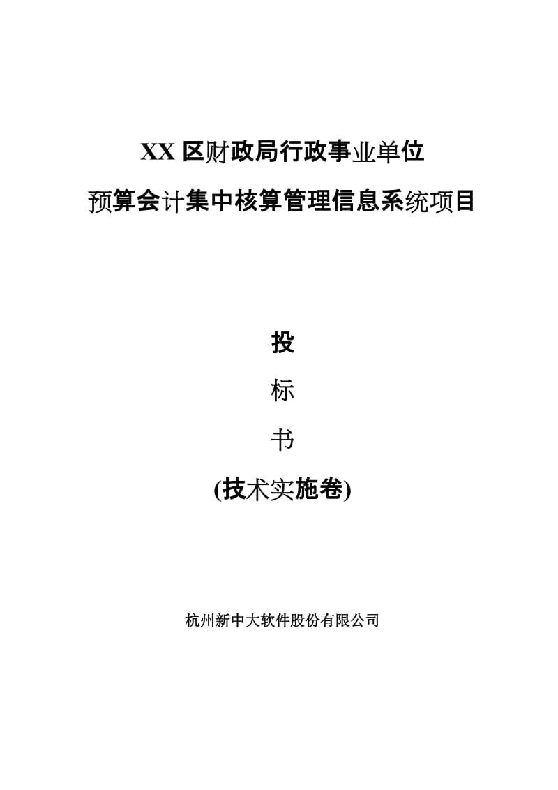 【精品】某某市某某区财政预算会计集中核算管理信息系统项目 投标书-技术实施卷.doc_第1页