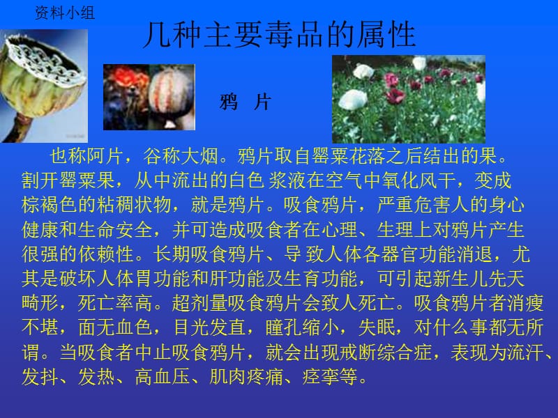 综合实践活动课《青少年远离毒品》.ppt_第3页