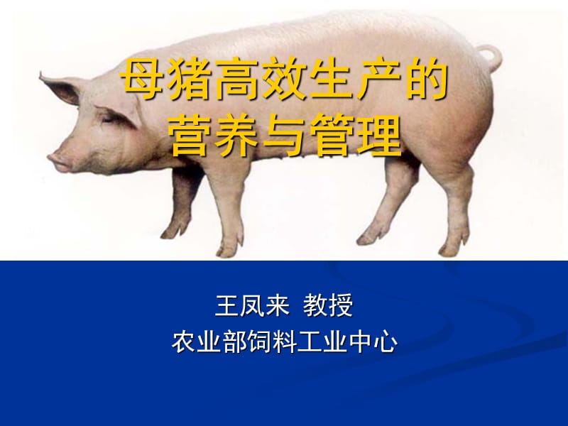 母猪高效生产营养与管理.ppt_第1页