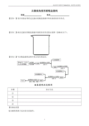 “从微观角度分析电解质在水溶液中的行为”任务单.doc