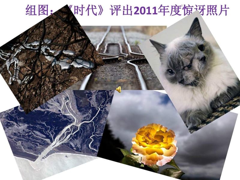 组图《时代》评出2011年度惊讶照片.ppt_第1页