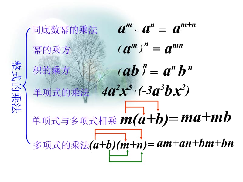 整式的乘法与因式分解复习.ppt_第3页