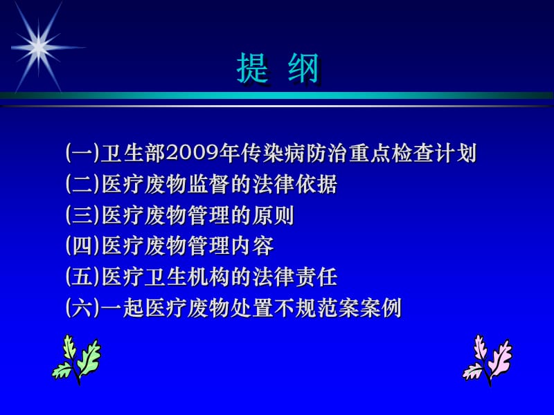 医疗废物监督管理要点.ppt_第2页