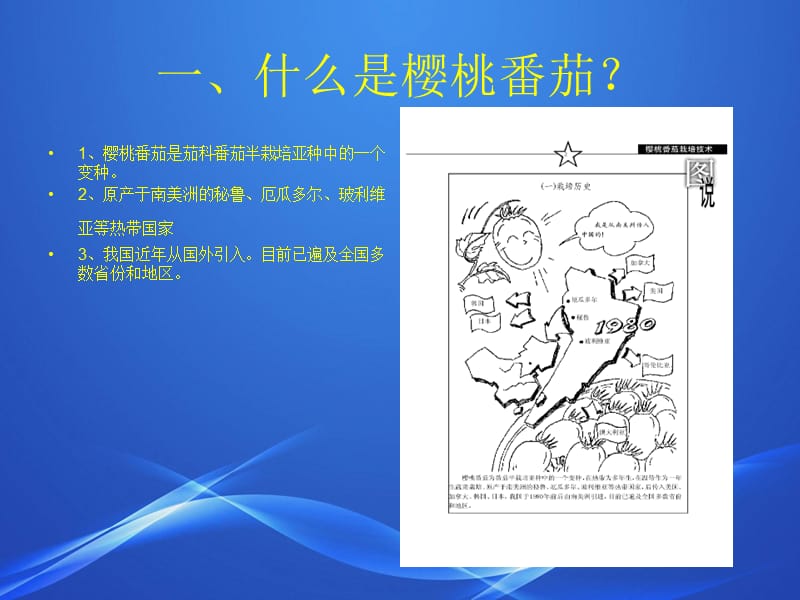 设施樱桃番茄栽培管理技术.ppt_第2页