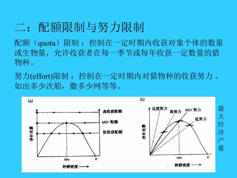 收获理论中心问题了解收获后应保留多大种群和什么个体.ppt_第2页