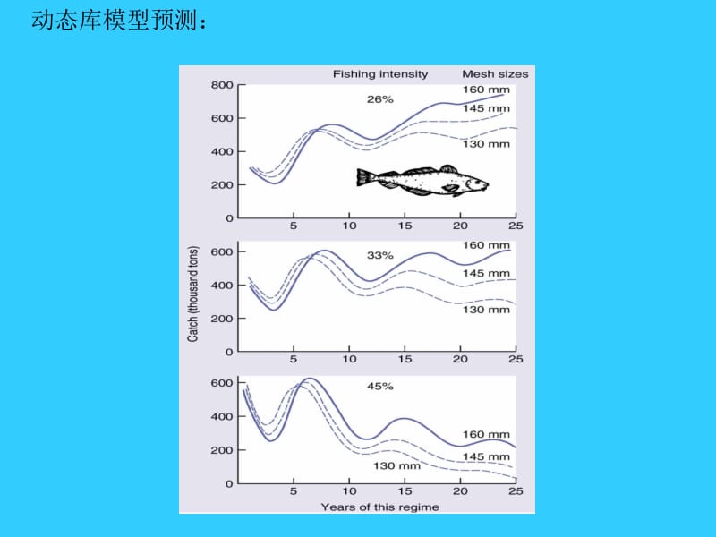 收获理论中心问题了解收获后应保留多大种群和什么个体.ppt_第3页