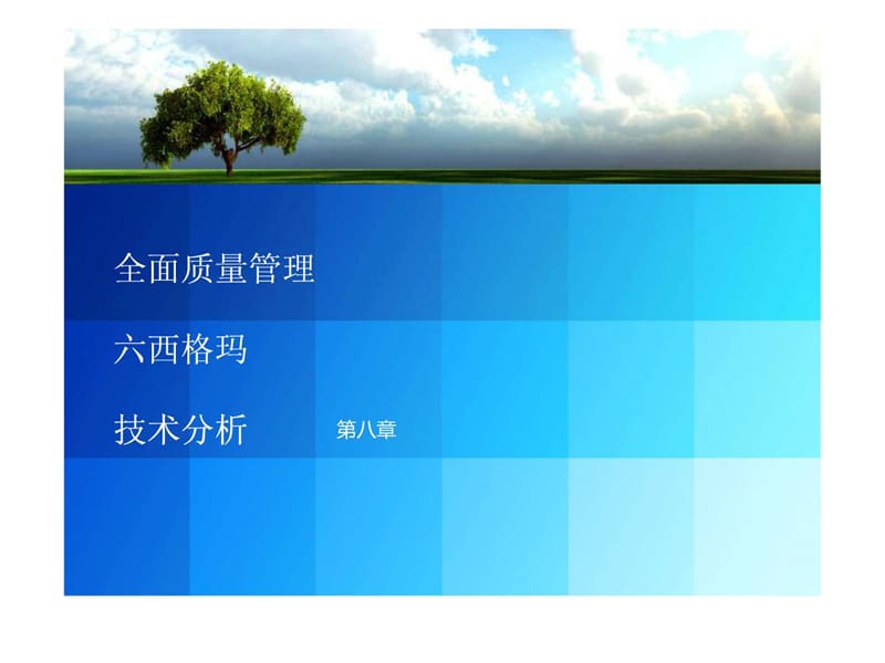 运营管理课件-聚集六西格玛(新).ppt_第2页