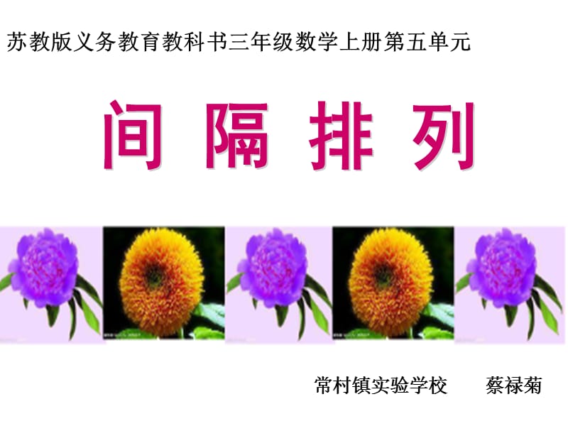 三年级.数学课件蔡禄菊常村镇实验学校ppt.ppt_第1页