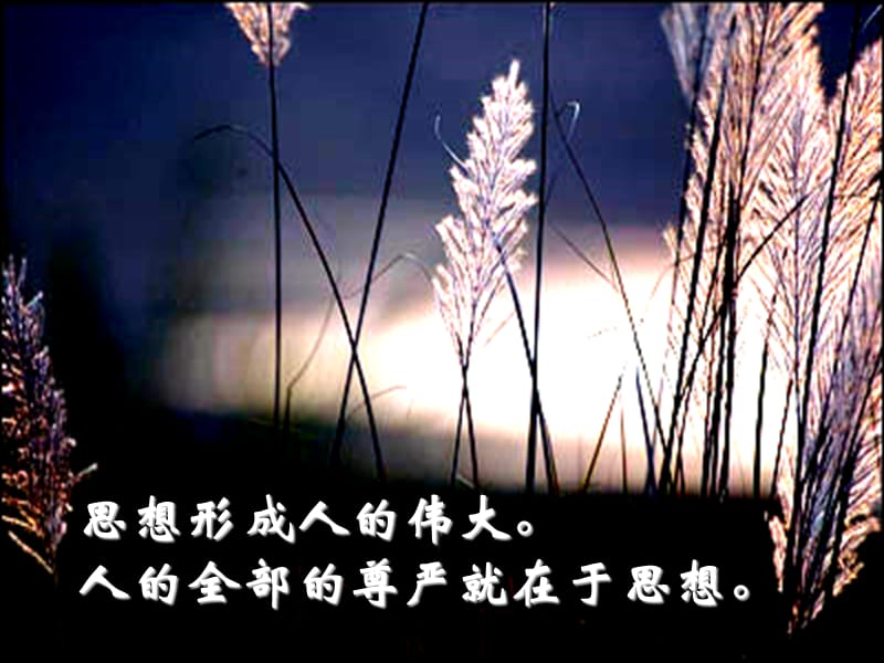 人是能够思考的芦苇.ppt_第3页