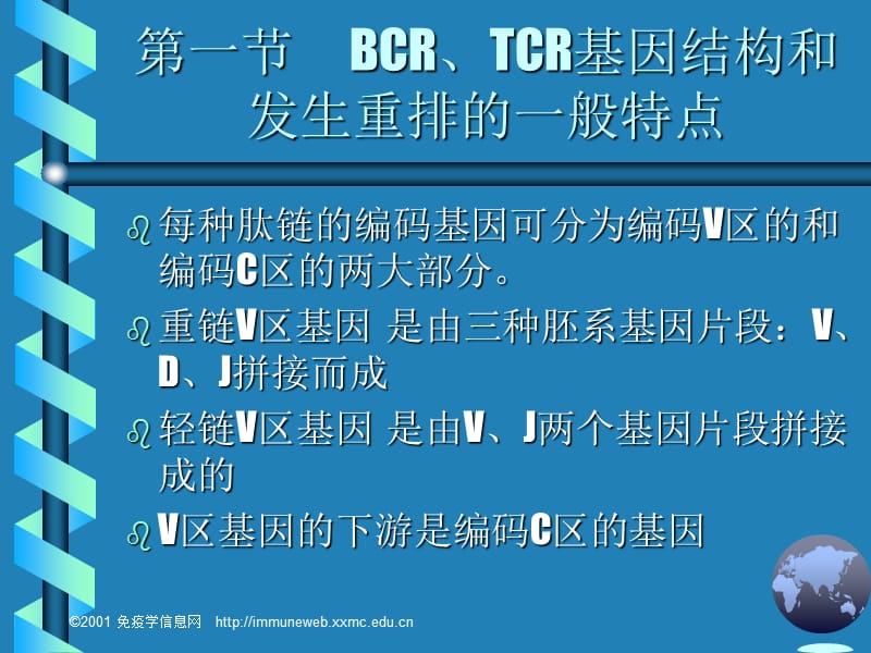 淋巴细胞抗原识别受体的编码及多样性的产生.ppt_第2页