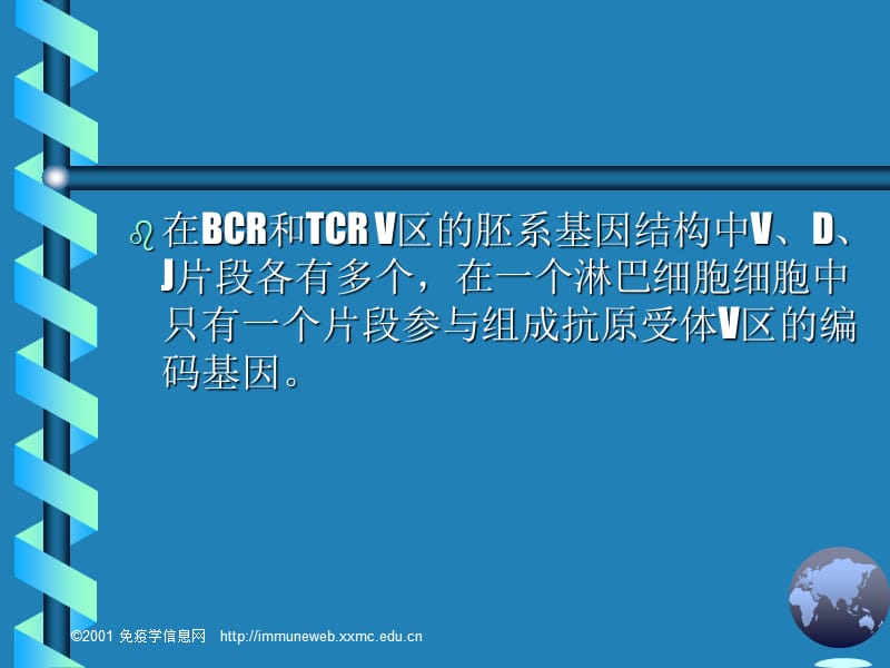 淋巴细胞抗原识别受体的编码及多样性的产生.ppt_第3页