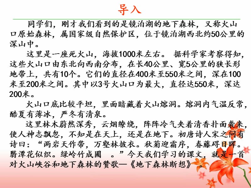 《地下森林断想》.ppt_第3页