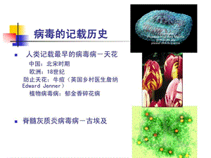 华东理工微生物课件.ppt