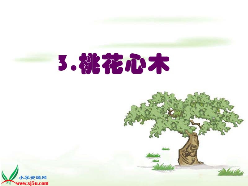 3、《桃花心木_4》PPT课件.ppt_第1页