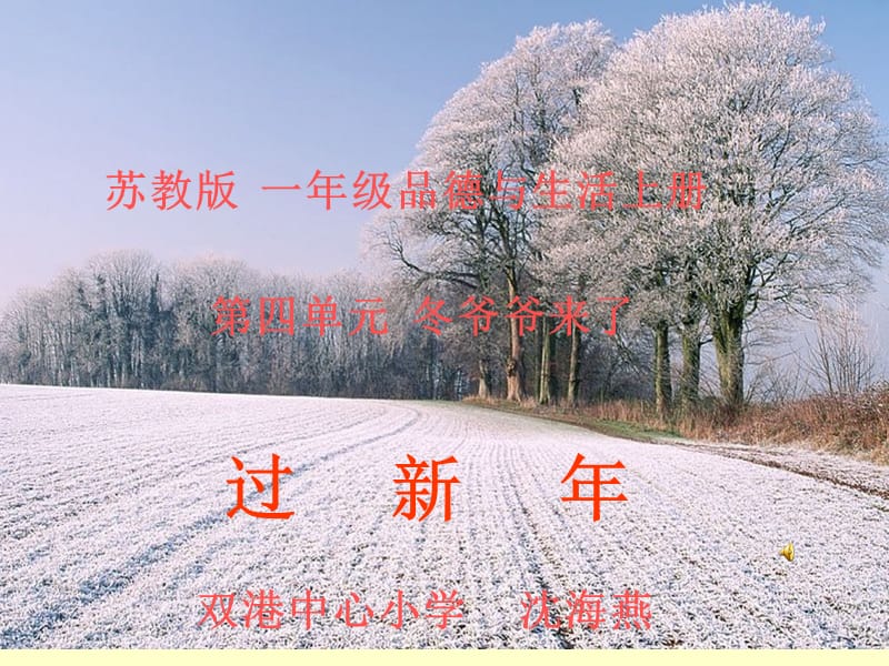 (苏教版)过新年课件.ppt_第1页