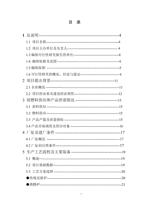 ai年产100000t轻烧氧化镁反射窑节能减排改造项目可行性研究报告.doc