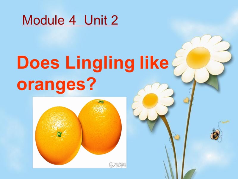 《Unit2DoesLinglinglikeoranges》ppt课件.ppt_第1页