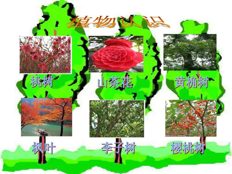 《花草树木点头笑》PPT课件_1548411139.ppt.ppt_第2页